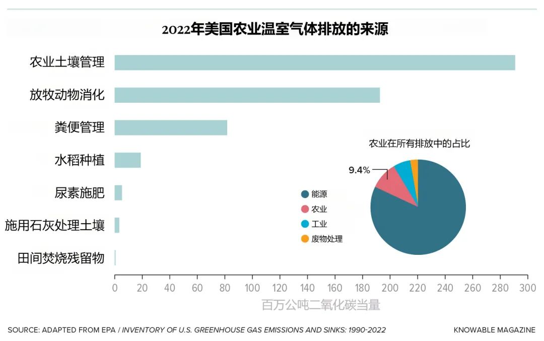 牛嗝治理大作战：全球变暖的另类解决方案