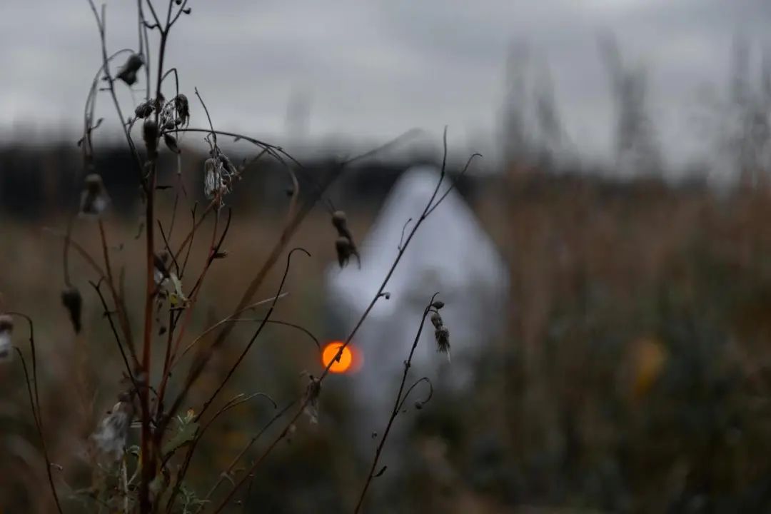 如何更好地在照片中表现秋冬氛围感