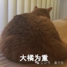 “猫猫运动方程”首次被科学家破解，登上《美国物理学杂志》